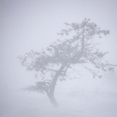 자은면 눈 오는 날 1004 뮤지엄파크 002