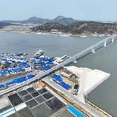 도초면 마을전경