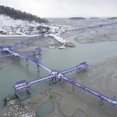 안좌면 눈 오는날 퍼플교