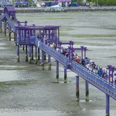 안좌면 퍼플섬 힐링걷기대회 003