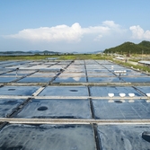 증도면 태평염전