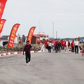 증도면 병풍도 맨드라미