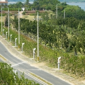 하의면 한반도평화의 숲 001