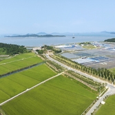 하의면 한반도 평화의 숲 002