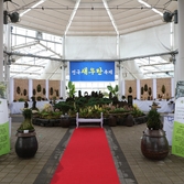 자은면 1004뮤지엄 새우란 001