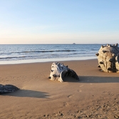 자은면 1004뮤지엄파크 양산해변