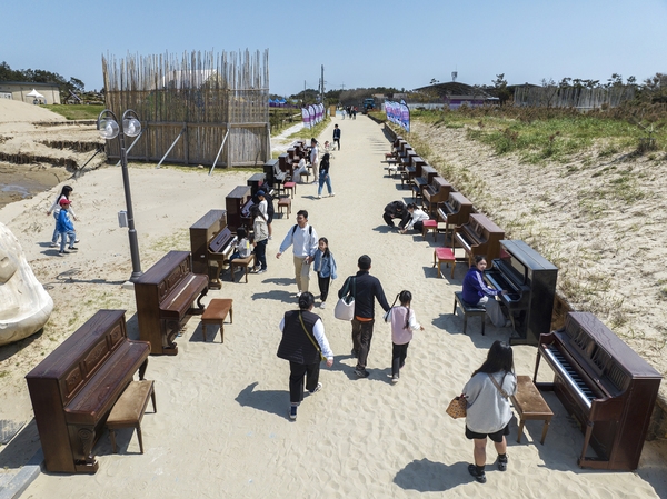 자은면 1004뮤지엄파크 피아노섬축제 001 4