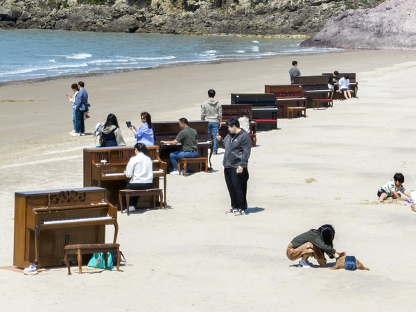 자은면 1004뮤지엄파크 피아노섬축제 001 5
