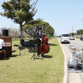 자은면 1004뮤지엄파크 피아노섬축제 001