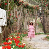 임자면 튤립홍매화정원 카네이션동백 002