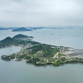 하의면 옥도 작약 004