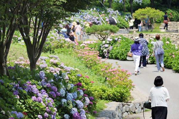 도초면 수국정원 1