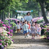 도초면 환상의 정원 팽나무십리길