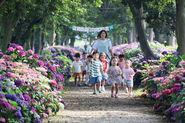 도초면 환상의 정원 팽나무십리길 1