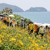 흑산면 홍도원추리 001