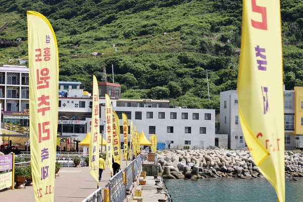 흑산면 홍도원추리 002 4