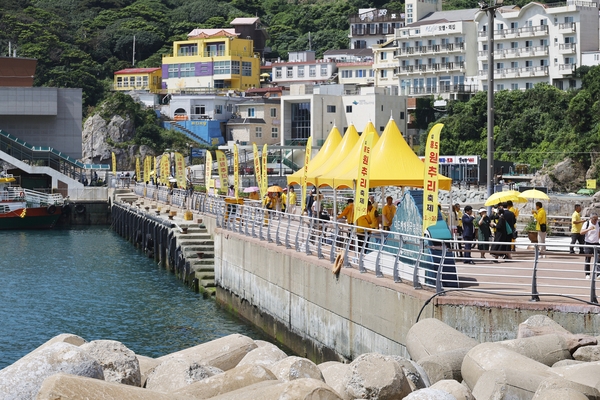 흑산면 홍도원추리 002 5