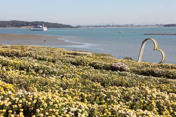 압해읍 고이도 아자니아 002 4