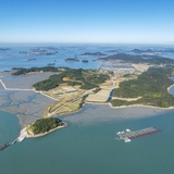 압해읍 고이도 아자니아 003