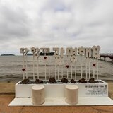 신안 자은도 둔장해변과 할미도