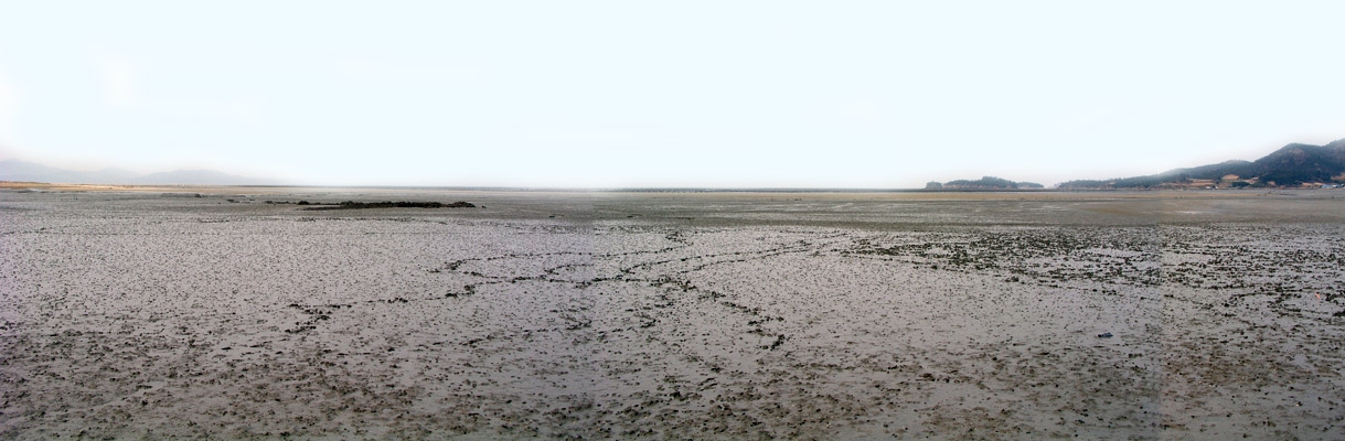 사용자등록이미지  1