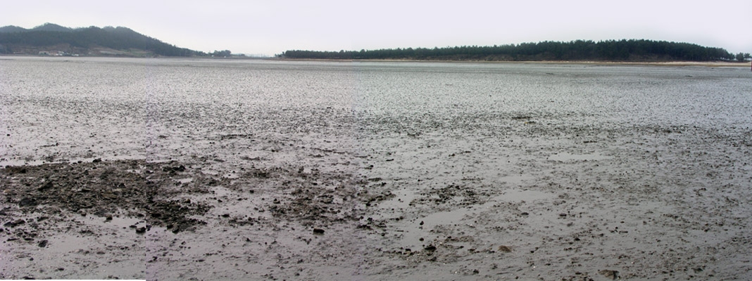 사용자등록이미지  1