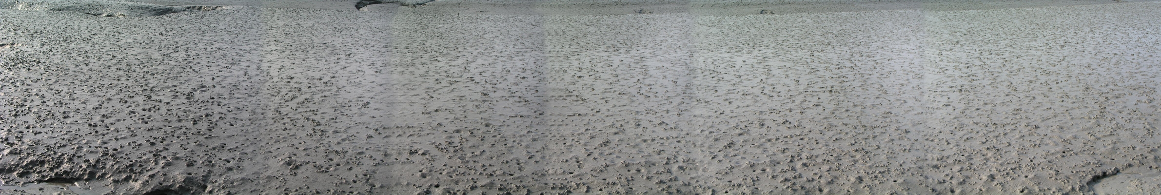 사용자등록이미지  1