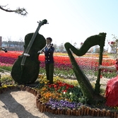 6회 튤립축제장 