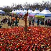 제9회 신안튤립축제장 풍경
