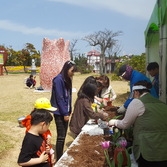 10회 2017 신안튤립축제