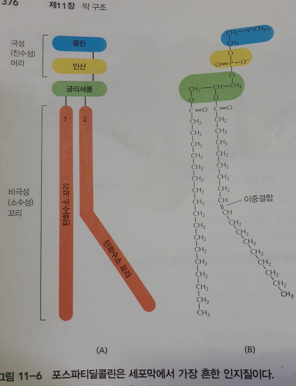 안녕들하세요 1