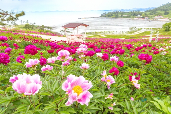 감사합니다 유영두 선장님 1