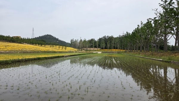 퍼플섬을 다녀와서ᆢ 1