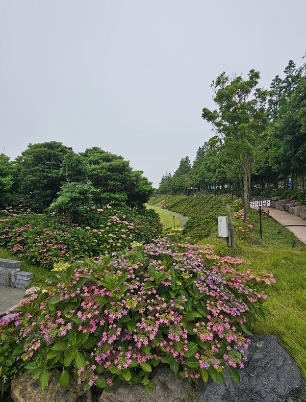 왕바위 식당 사장님 칭찬합니다. 1