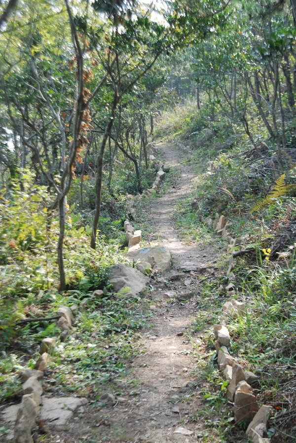 섬의 수려한 풍광과 함께하는「신안 갯벌모실길 1004km」조성 2