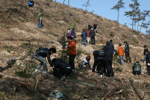 신안군, 제68회 식목일 기념 나무심기 행사..