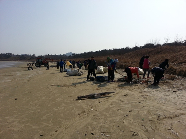 봄맞이 비금 논드래미해수욕장 정화활동 실시 3