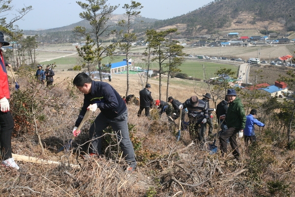 신안군, 제69회 식목일 기념 나무심기 행사..