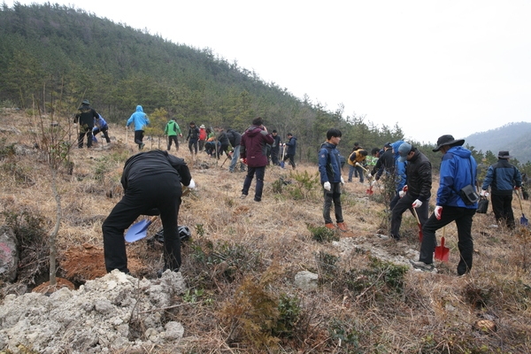 신안군, 식목일 기념 전국 첫 나무심기 행사 성료..