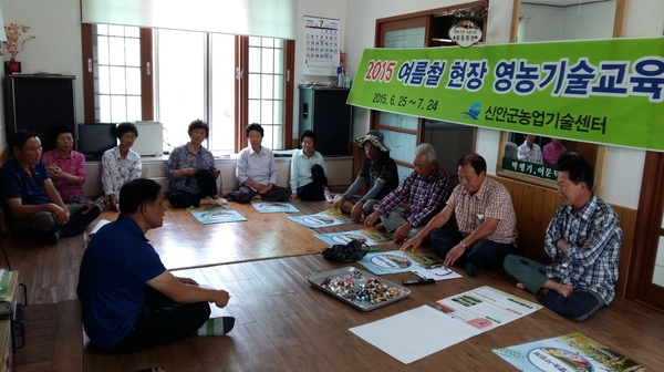 신안군, 여름철 현장영농기술교육으로 풍년농사 기대..