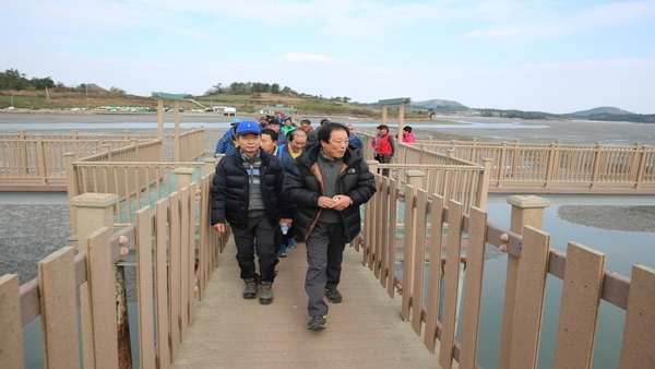 안좌「가고 싶은 섬」걷기 행사 성료..