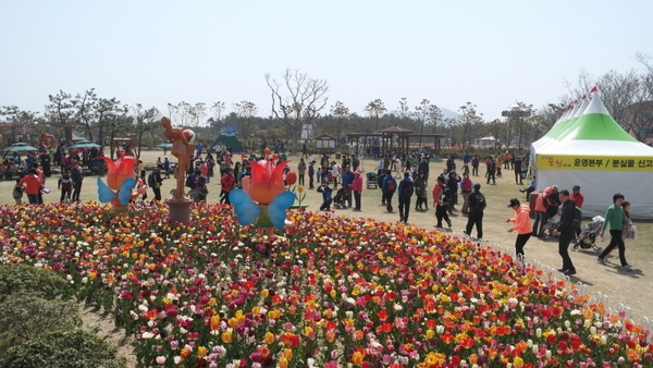 신안 임자도 “제9회 신안튤립축제” 내달 8일 개막..