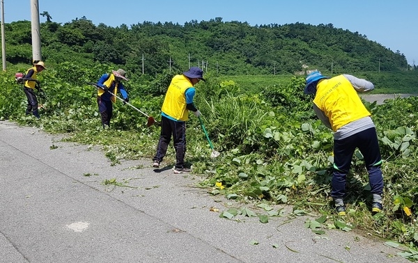 신안군4-H연합회, 이웃사랑 예초작업 봉사활동..