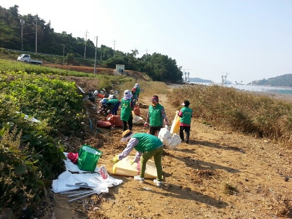 신안 지도읍 여성단체 해안가 정화 활동 전개..