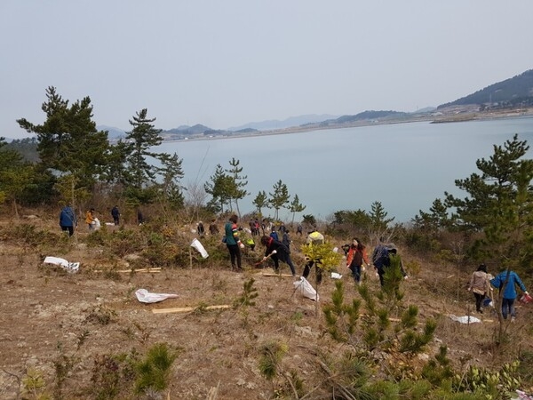 신안군, “제72회 식목일 나무심기 행사” 개최..