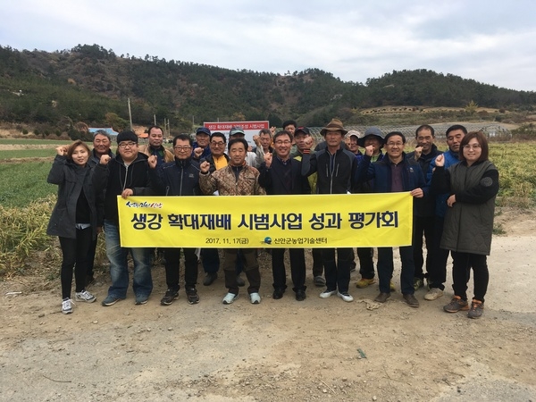 생강 확대재배 시범사업 성과 평가 “농가 호응 커”..