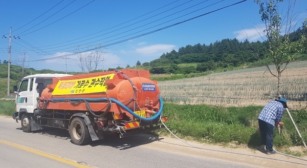 신안군, 폭염대비 가로수 관수작업 실시 2