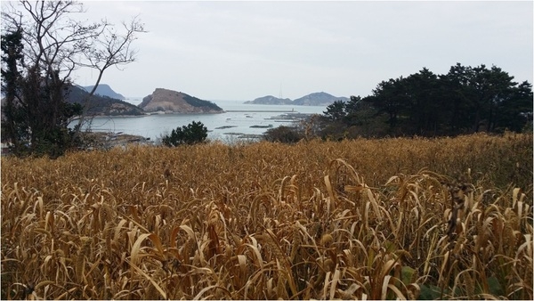 “1004섬 신안, 흑산도 철새서식지 먹이공급 사업 모니터링 실시”..생물다양성 관리계약 사업 1