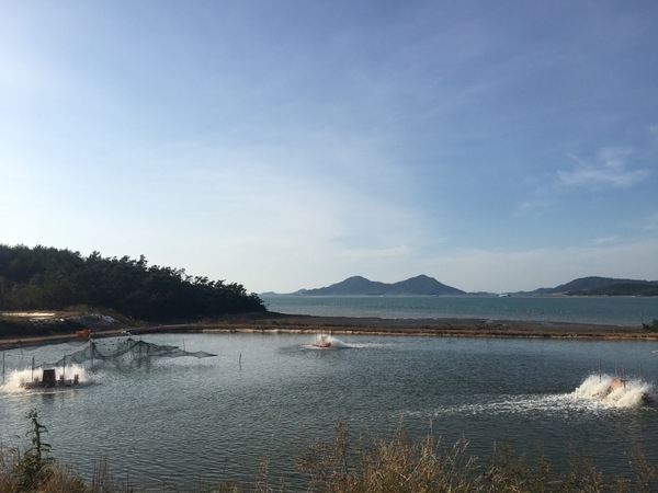 신안군, 새우 양식사료 공동구매로 생산비 절감시켜!..