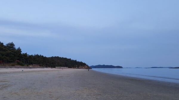 신안군, 해수욕장 예약제 시행..